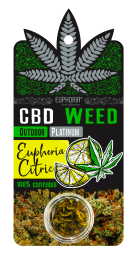 CBD Weed Euphoria Citric