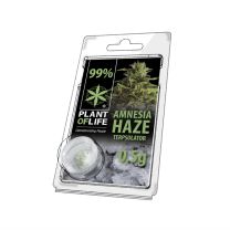 Plant Of Life | Terpsolator 99% - Amnesia -  500mg
