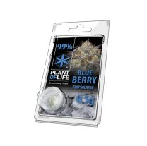 Plant Of Life | Terpsolator 99% - Blueberry -  500mg