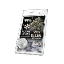 Plant Of Life | Terpsolator 99% - Sour Diesel -  500mg
